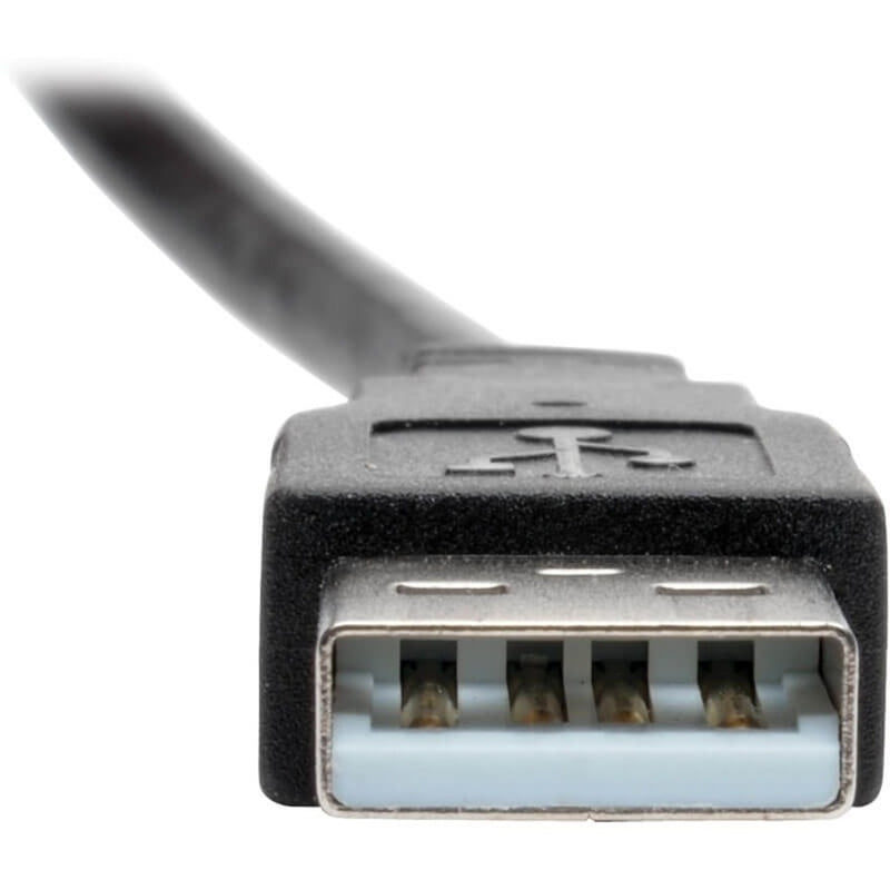 Macro shot of USB Type-A male connector showing pin configuration