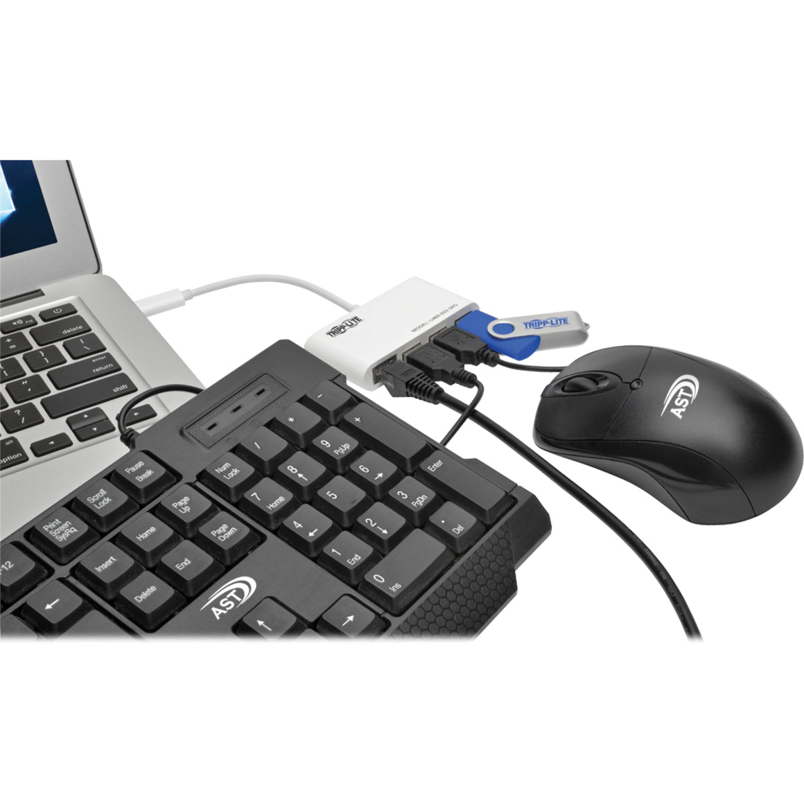 Tripp Lite USB hub connected to laptop with keyboard and mouse demonstrating multiple device connectivity-alternate-image2