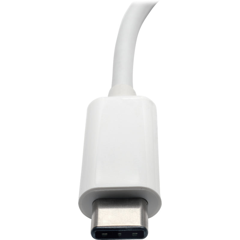 Close-up of the USB-C connector on Tripp Lite hub showing reversible design