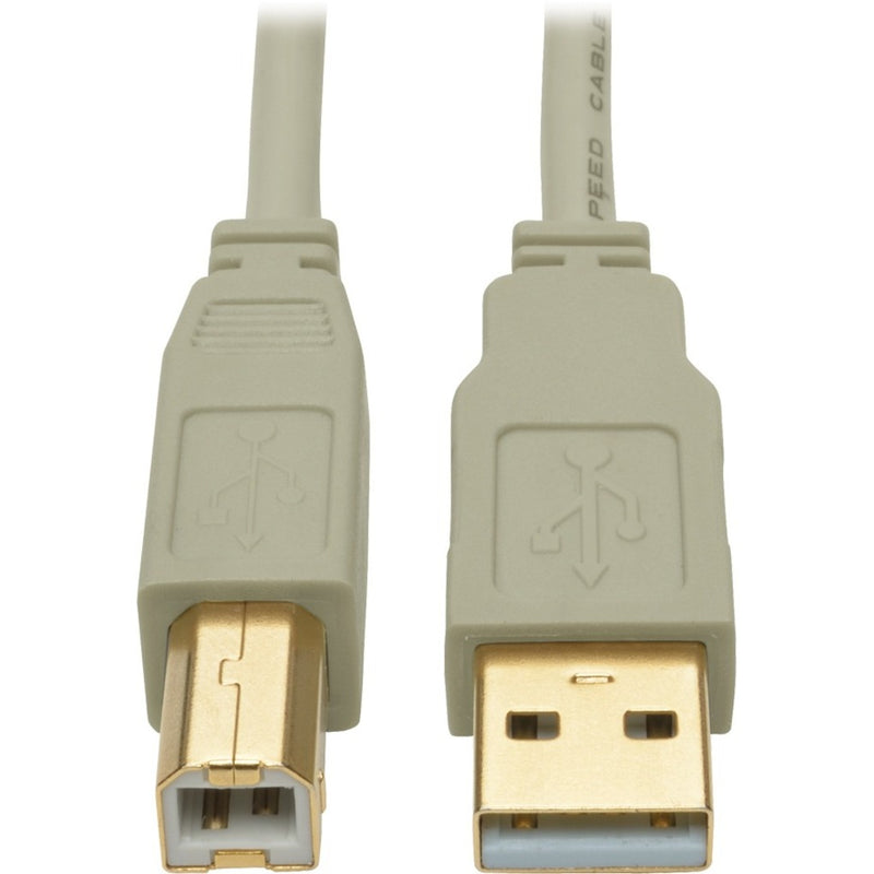 Close-up of gold-plated USB Type-A and Type-B connectors with beige molded housing