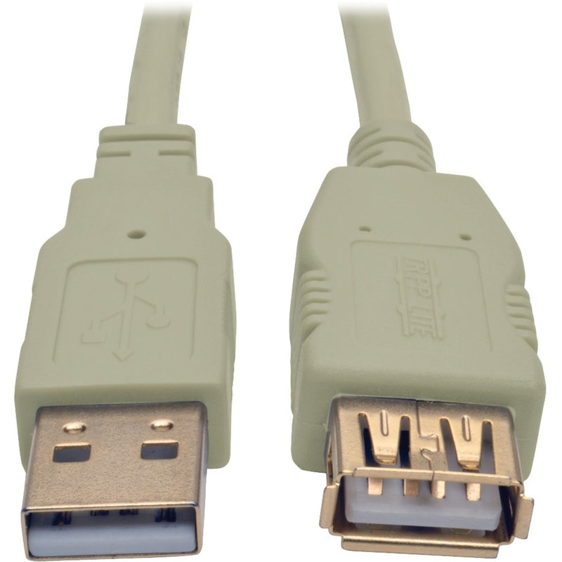 Close-up view of gold-plated USB Type-A male and female connectors on beige extension cable