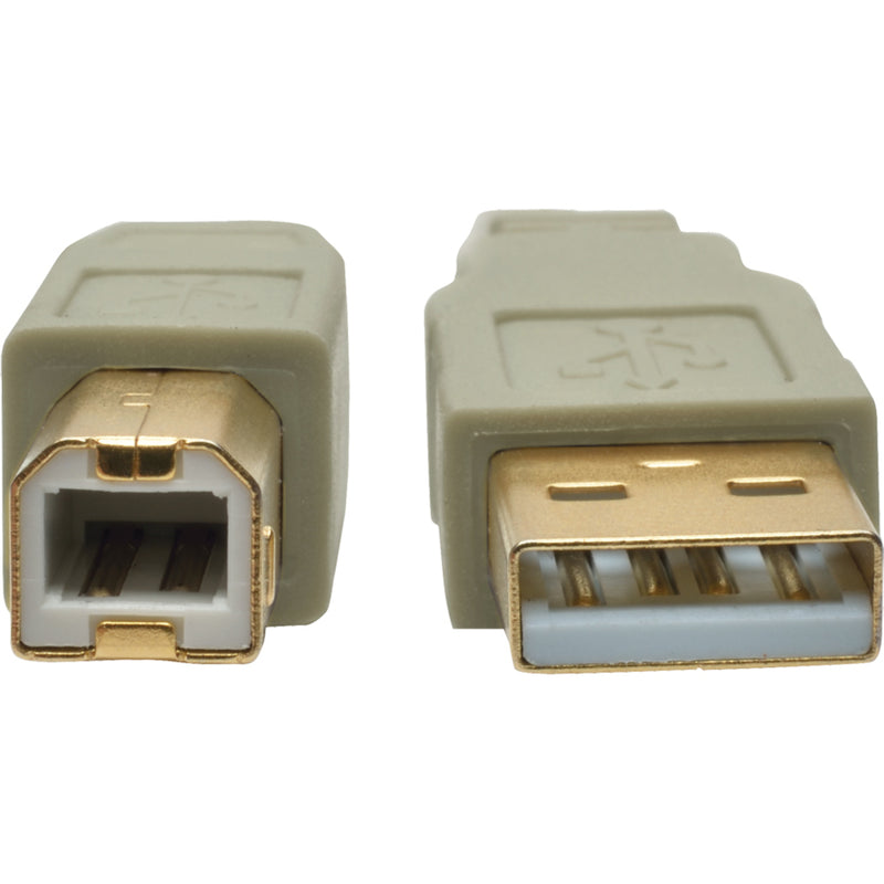 Macro shot of USB connector pins showing gold plating detail