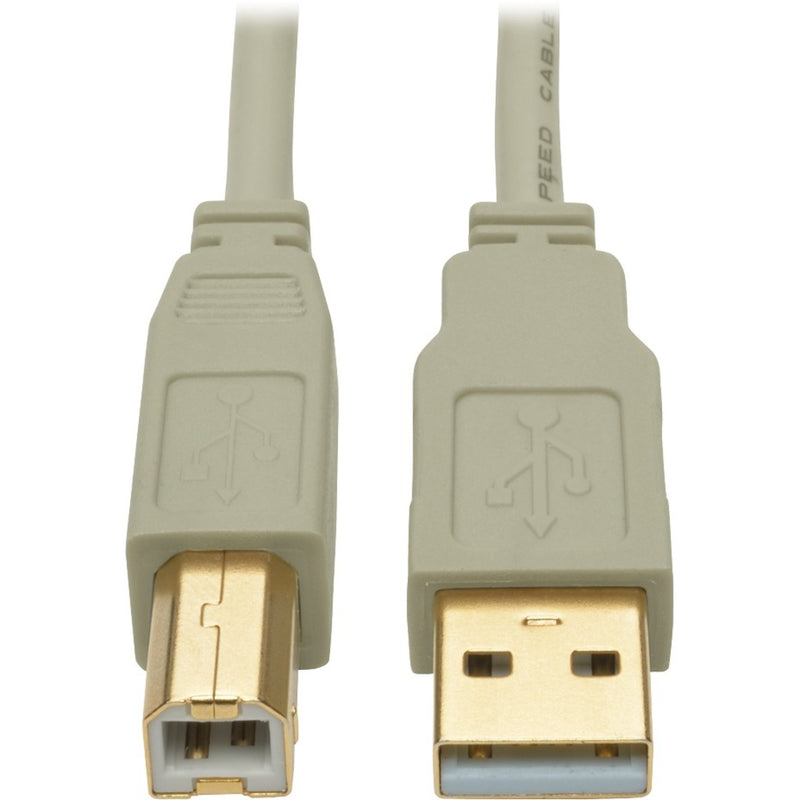 Close-up of gold-plated USB Type-A and Type-B connectors with beige housing