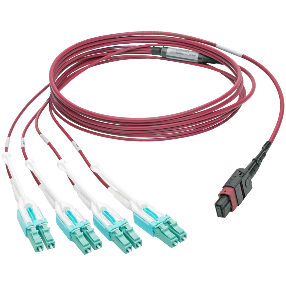 Full length view of MTP/MPO to LC fan-out cable showing magenta jacket and connector design-alternate-image5