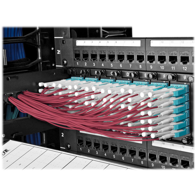 Multiple fiber optic cables installed in network patch panel showing organized cable management