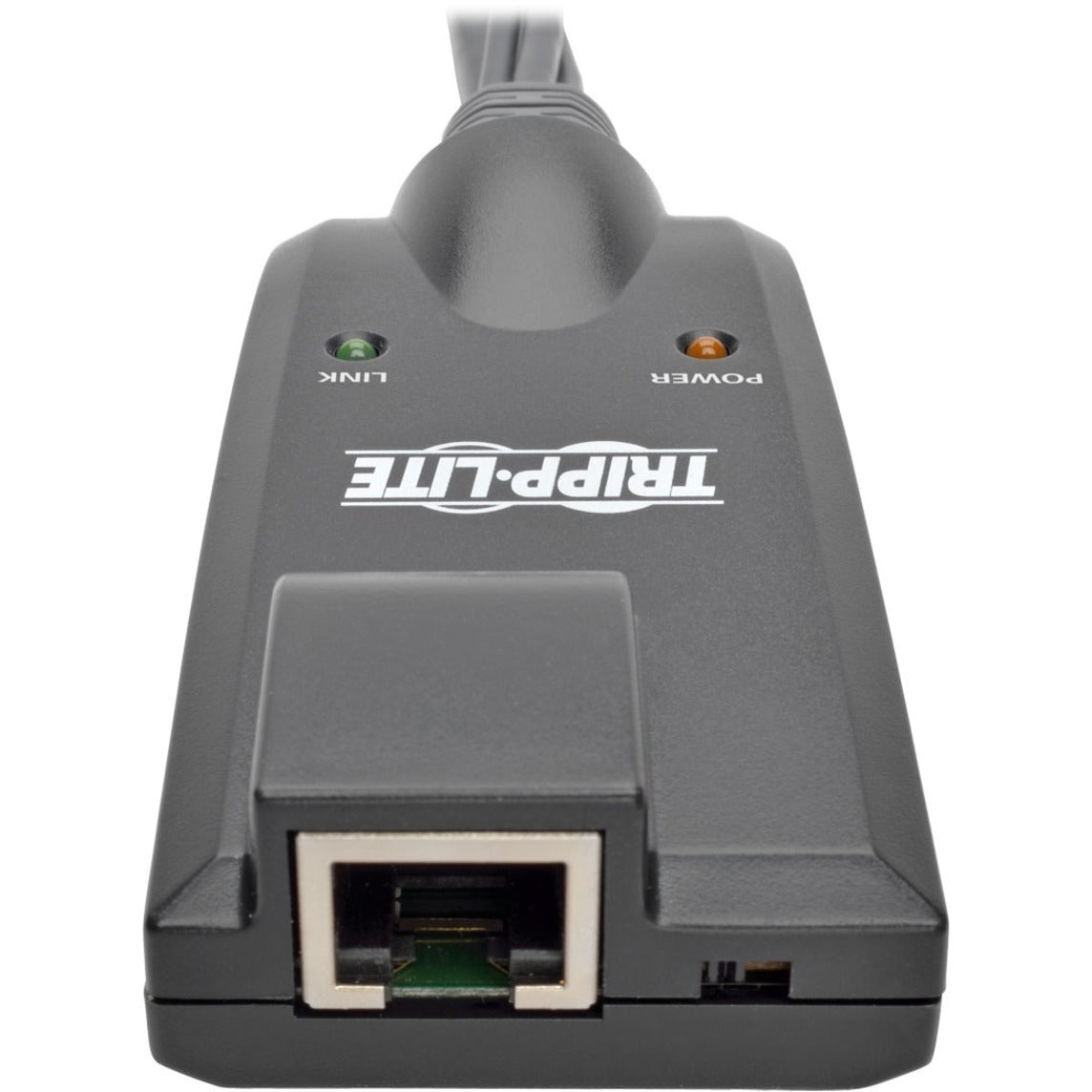 Tripp Lite B055-001-USB-VA NetDirector USB Server Schnittstelleneinheit KVM Extender mit USB VGA Kopfhörer Mikrofon und Netzwerk (RJ-45) Anschlüssen