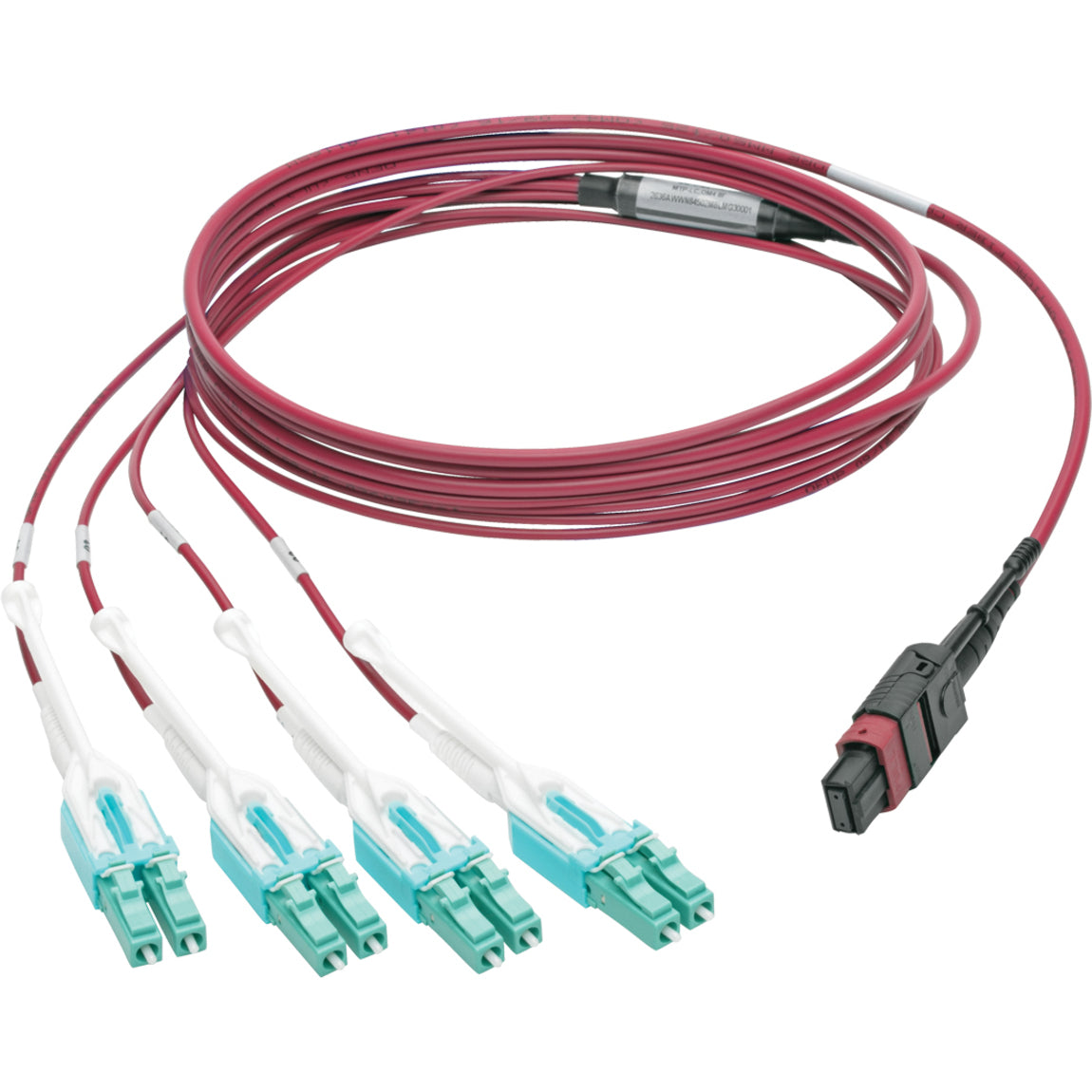 Tripp Lite N845-02M-8L-MG MTP/MPO to 8xLC Fan-Out Patch Cable Magenta 2m 40Gbit/s 트립 라이트 N845-02M-8L-MG MTP/MPO에서 8xLC 팬-아웃 패치 케이블 자주색 2m 40Gbit/s