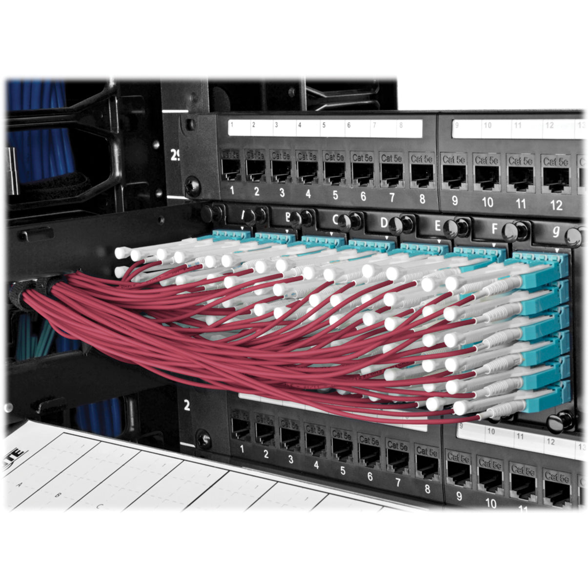 Installation view of MTP/MPO fan-out cable showing organized cable management in a network rack-alternate-image2