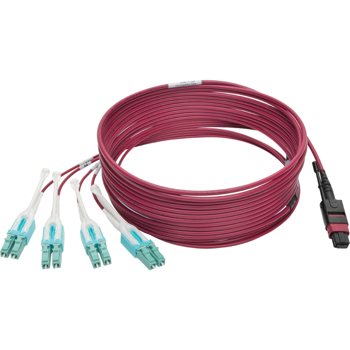 Full-length view of magenta MTP/MPO to LC fiber optic cable with connectors-alternate-image3