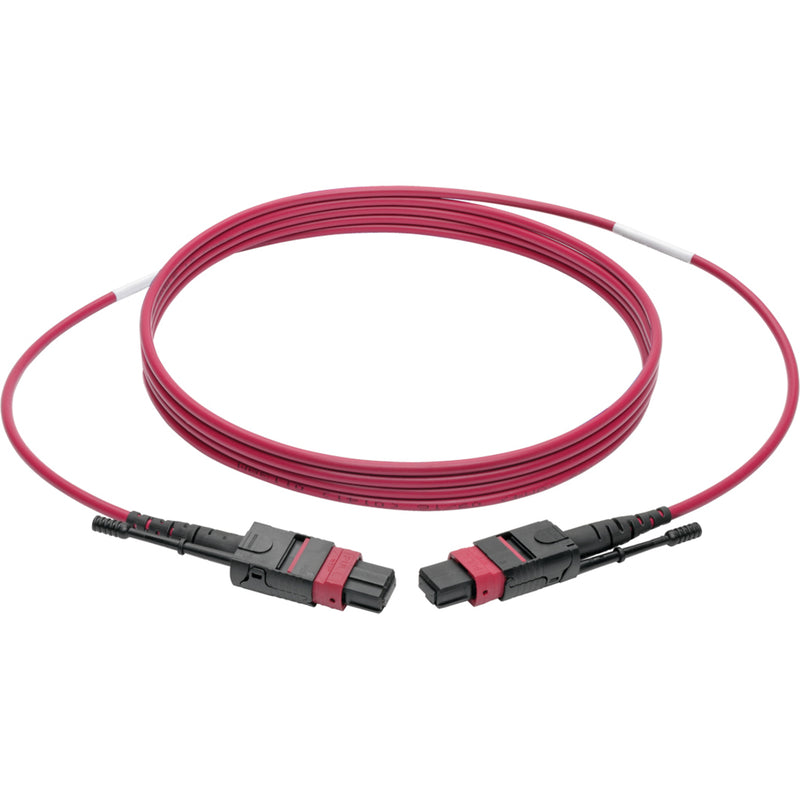 Full length view of magenta MTP/MPO fiber optic patch cable showing connector ends and cable coil