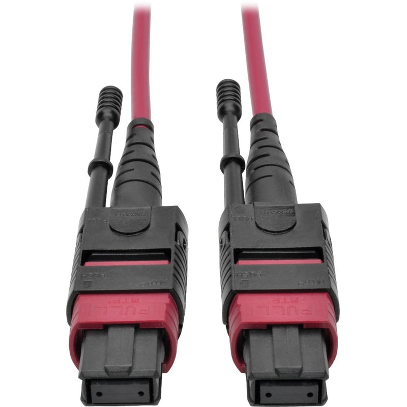 Close-up view of MTP/MPO connectors on magenta multimode fiber optic patch cable showing black housing and strain relief design