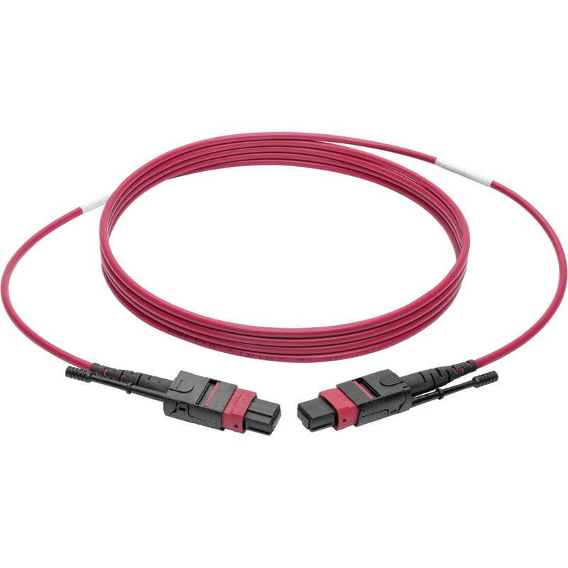 Full length view of magenta MTP/MPO fiber optic patch cable with black connectors