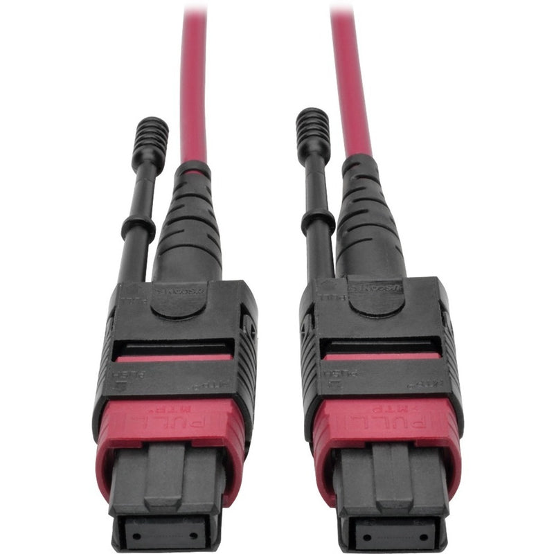 Close-up view of MTP/MPO fiber optic connectors with black housing and magenta cable