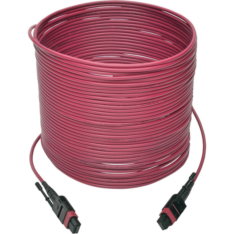 Full length view of 10-meter magenta MTP/MPO fiber optic cable with connectors