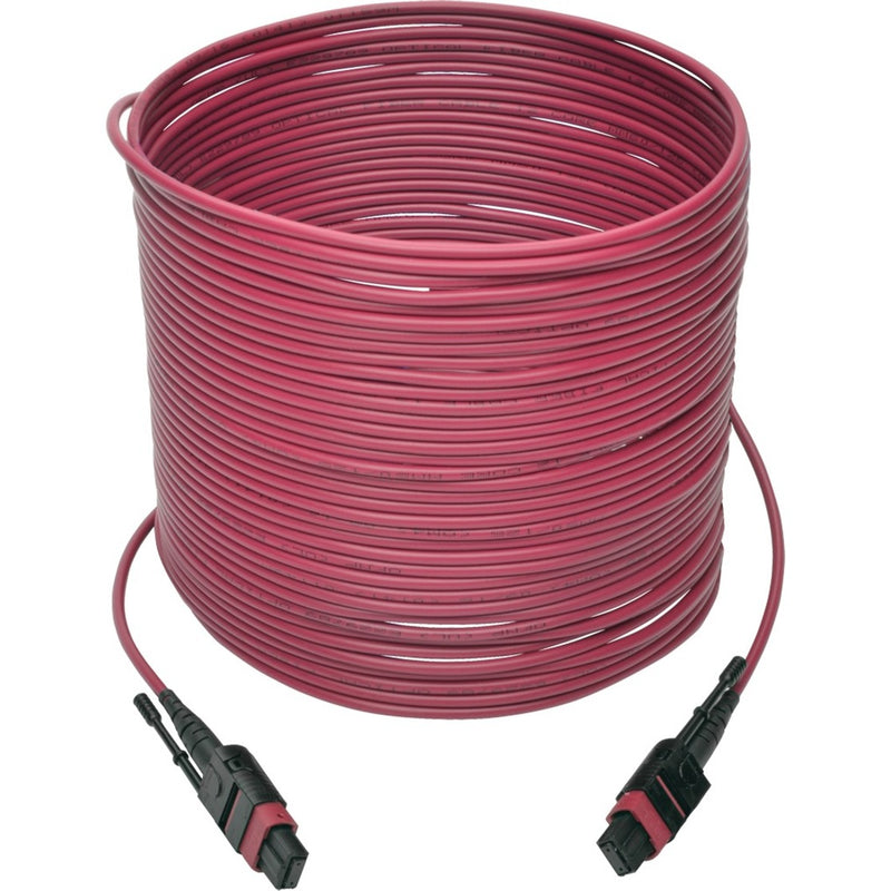 Full-length view of 15-meter magenta OM4 fiber optic cable with MTP/MPO connectors at both ends