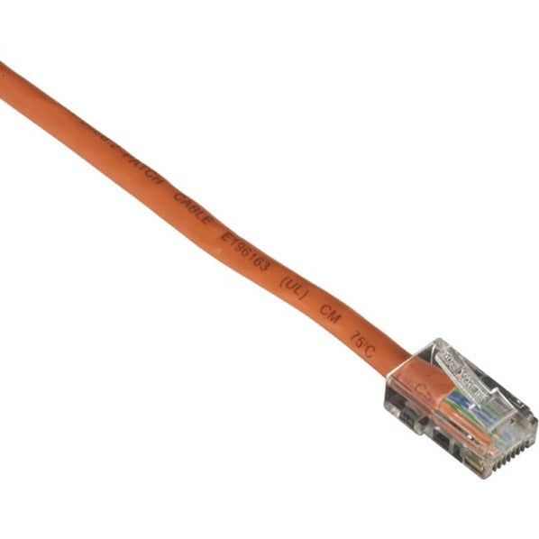 Close-up view of orange Cat5e network cable with transparent RJ-45 connector showing gold-plated contacts