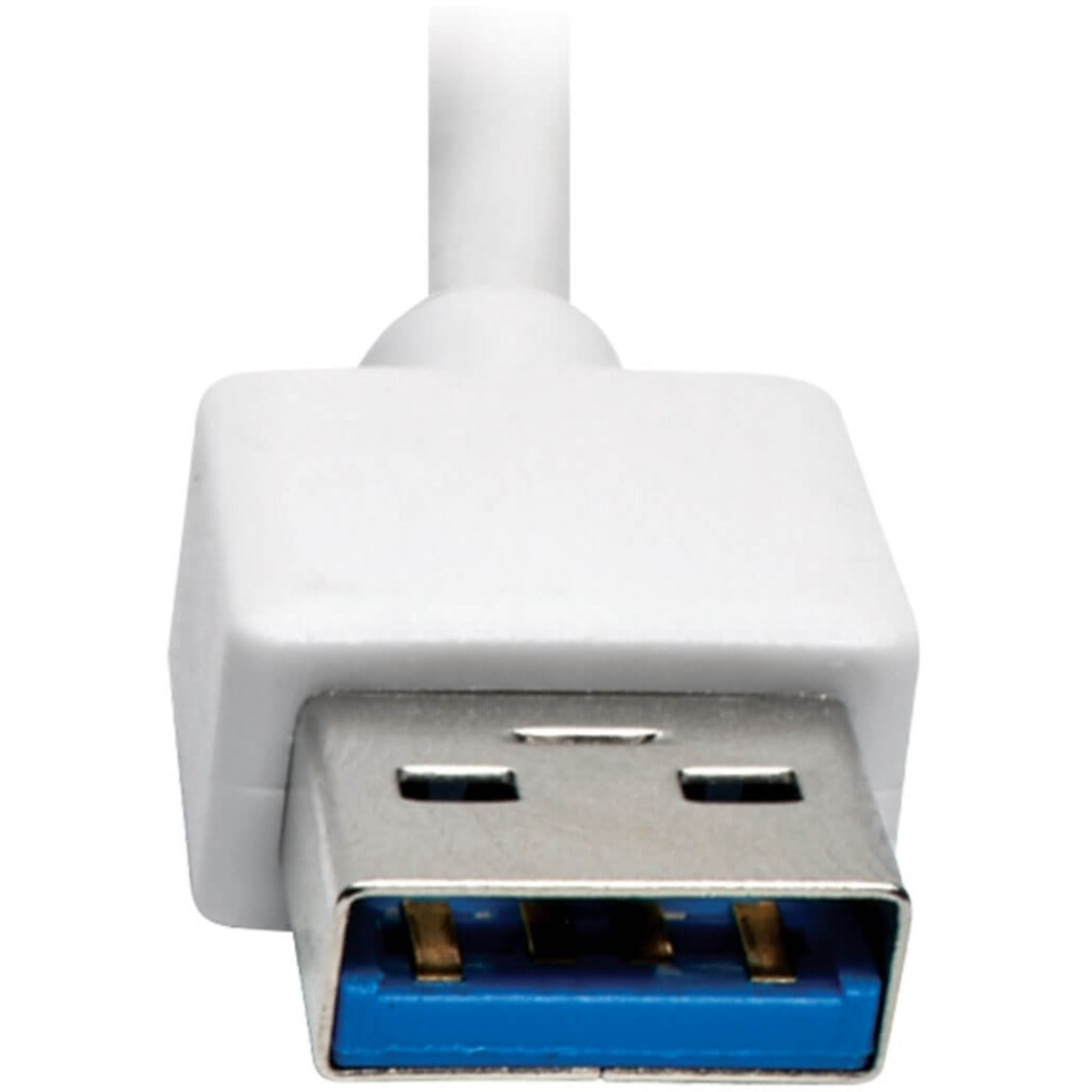 Detailed view of Tripp Lite card reader's USB 3.0 connector with blue indicator-alternate-image4