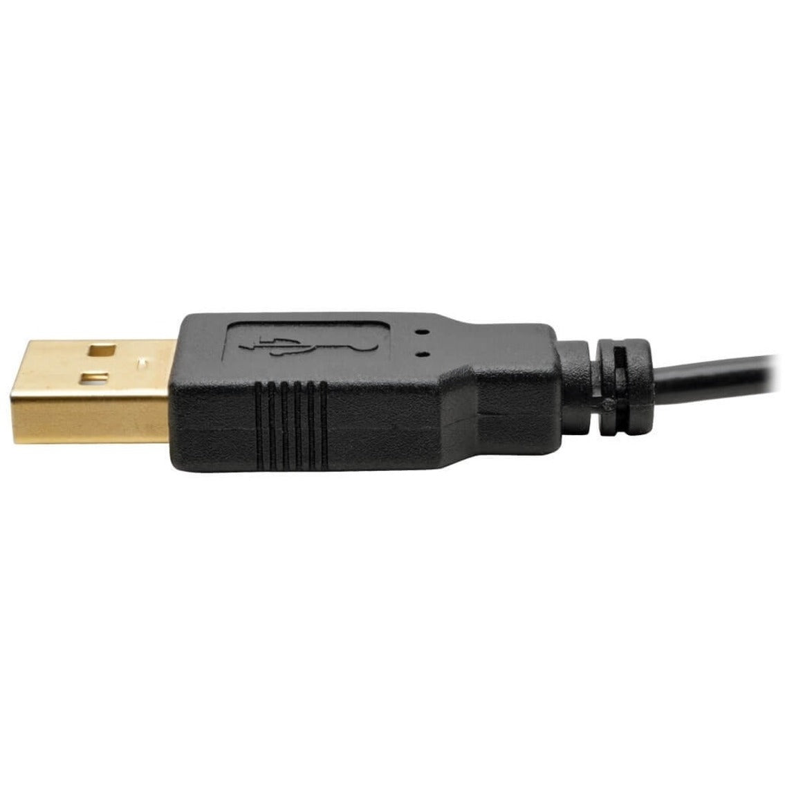 محول نشط HDMI إلى DisplayPort Tripp Lite P130-06N-DP-V2 4K (M/F)، يعمل بالطاقة من USB