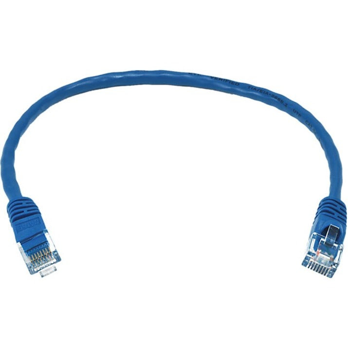 Blue Cat6 ethernet patch cable with RJ-45 connectors showing full cable length