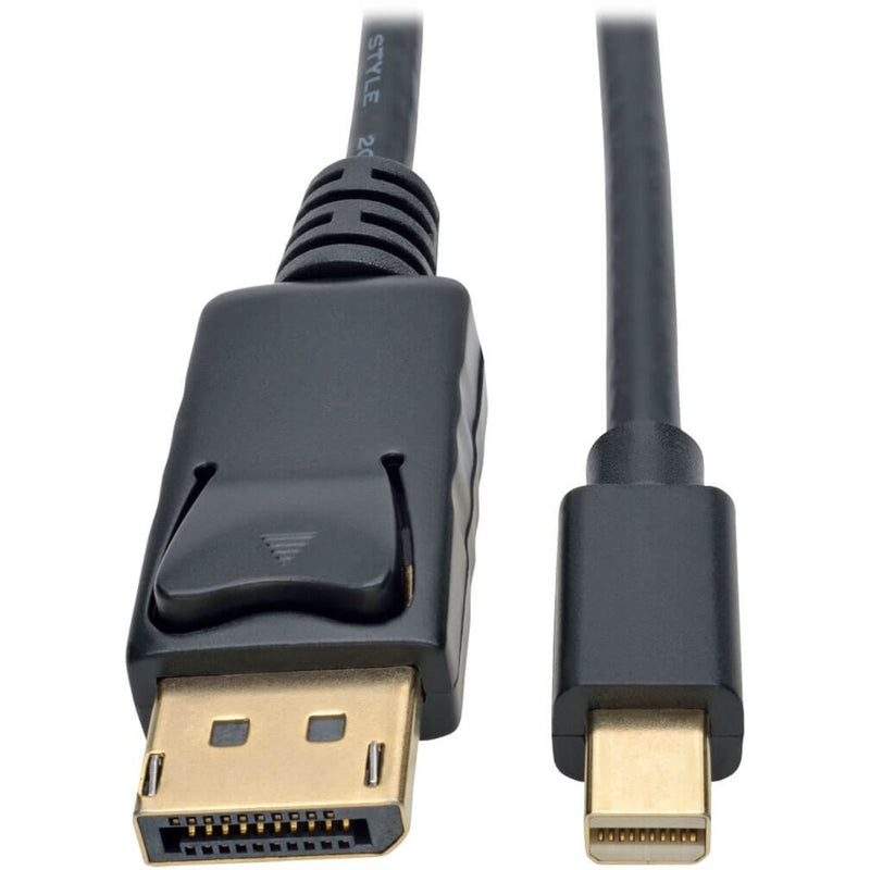 Close-up view of gold-plated DisplayPort and Mini DisplayPort connectors with strain relief design