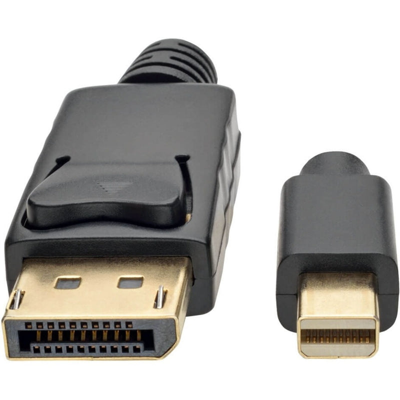 Detailed view of DisplayPort and Mini DisplayPort connector pin layout