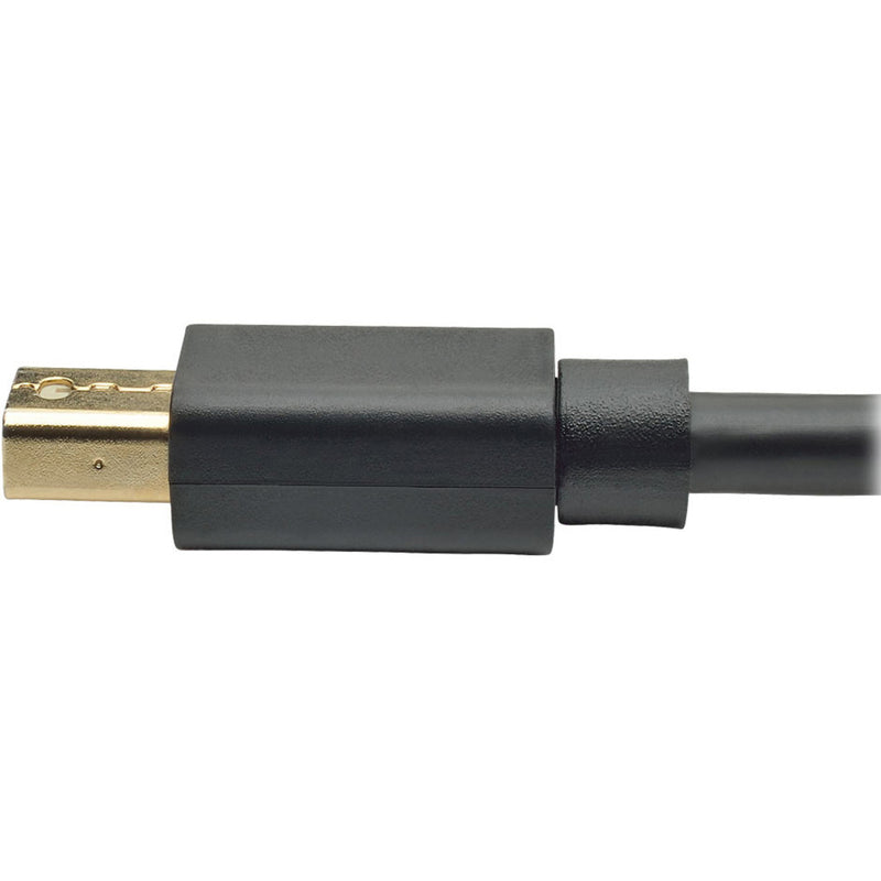 Detailed view of Mini DisplayPort connector construction