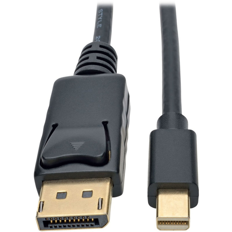 Close-up view of DisplayPort and Mini DisplayPort connectors with gold-plated contacts and strain relief