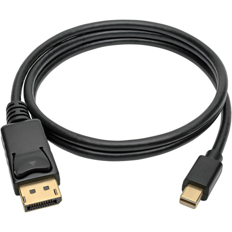 Full length view of DisplayPort cable showing flexible black jacket and strain relief