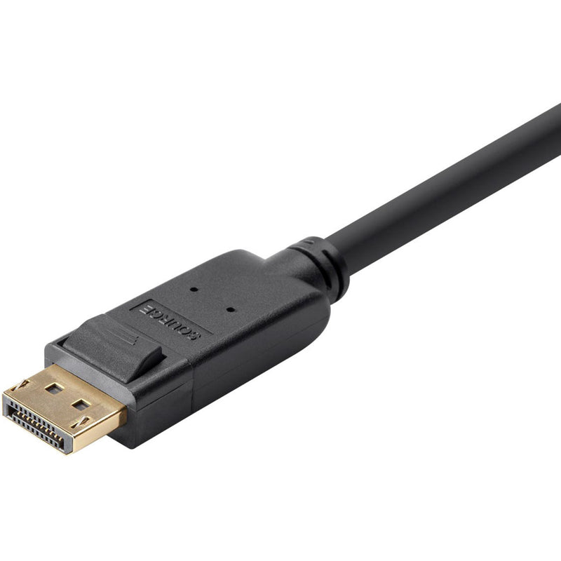 Detailed view of DisplayPort connector showing gold-plated pins and connector housing