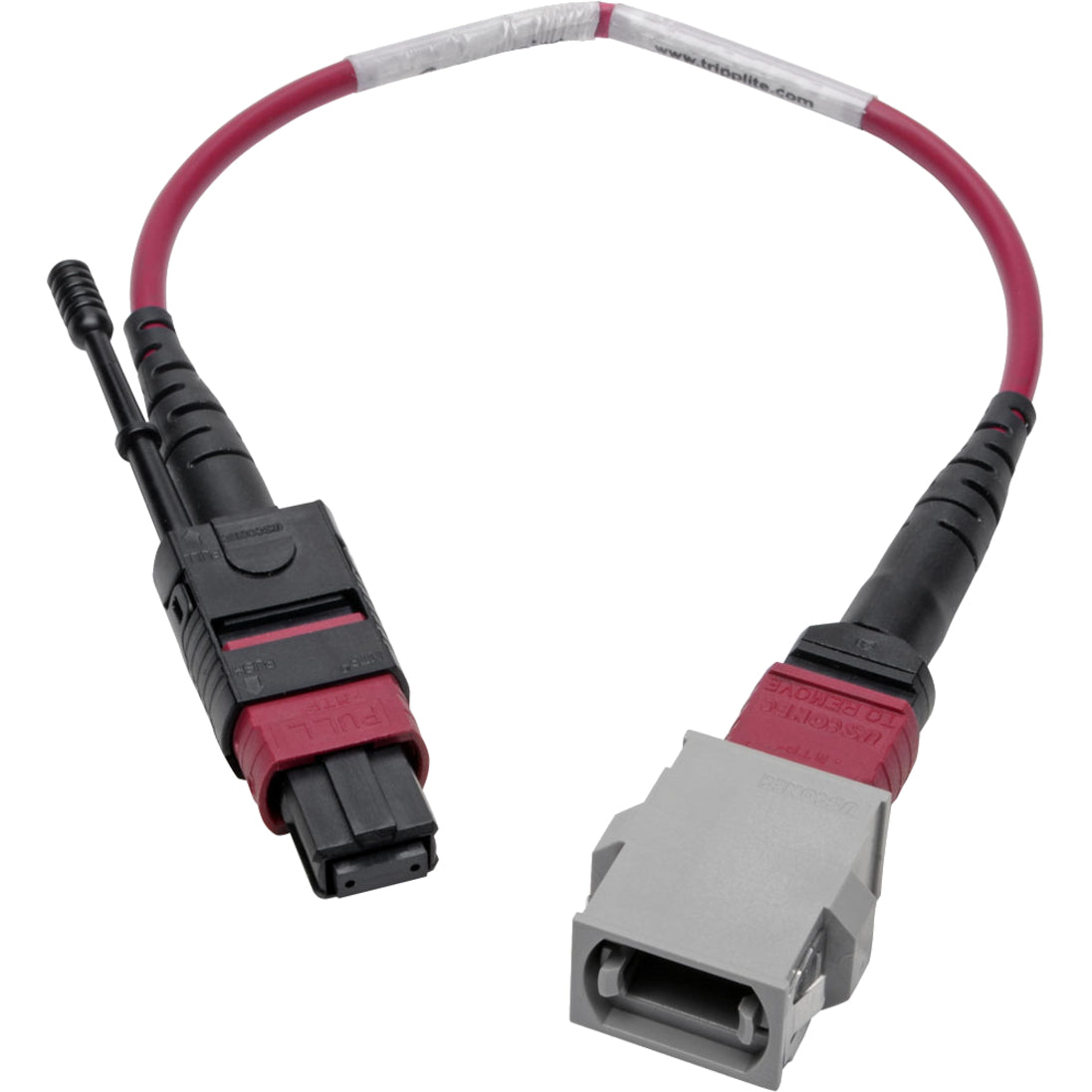 Tripp Lite N846-08N-C2B Fiber Optic Duplex Patch Network Cable, 8" Length, 100 Gbit/s Data Transfer Rate, Magenta