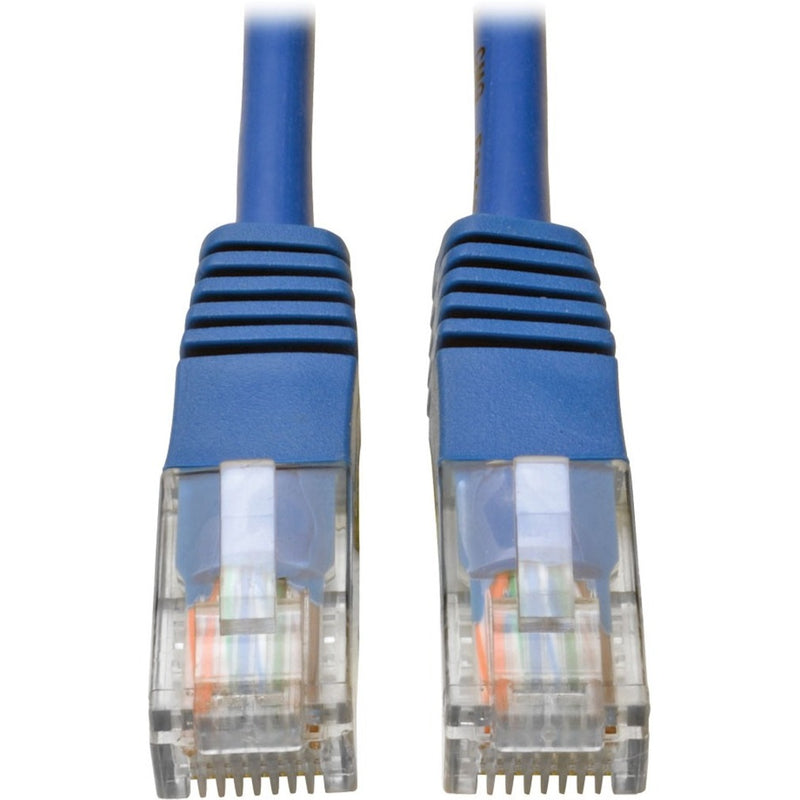 Close-up view of two blue Cat5e RJ45 connectors with transparent housings showing internal wiring and gold contacts