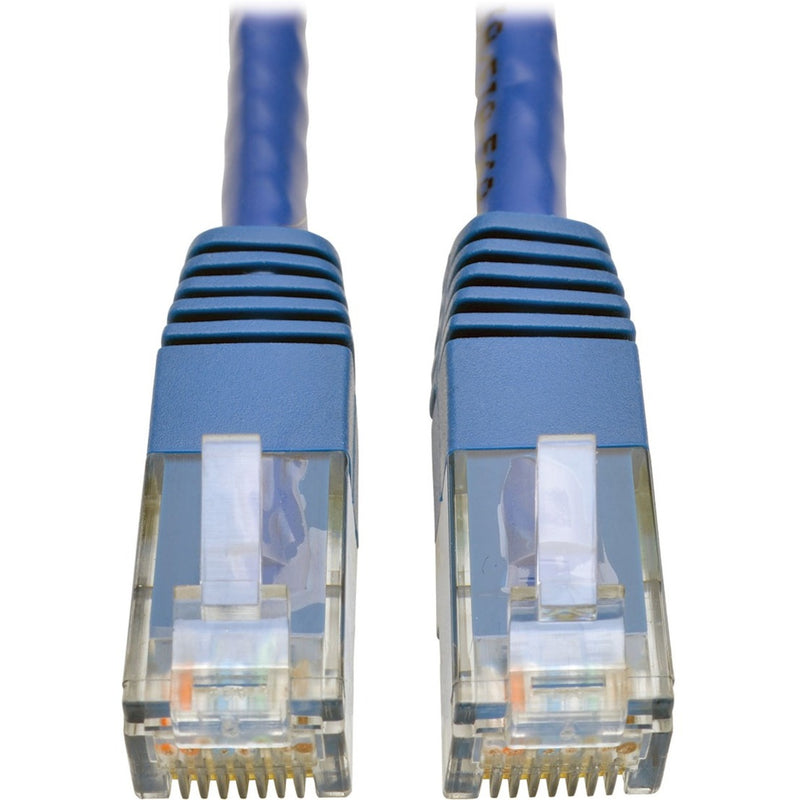 Close-up view of two blue RJ45 connectors showing gold-plated pins and transparent housing with strain relief design