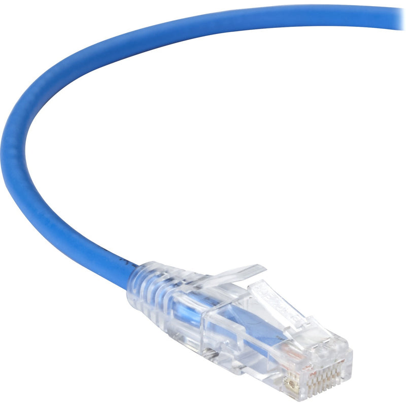 Close-up view of gold-plated RJ-45 connector on blue Slim-Net Cat6 cable with clear housing