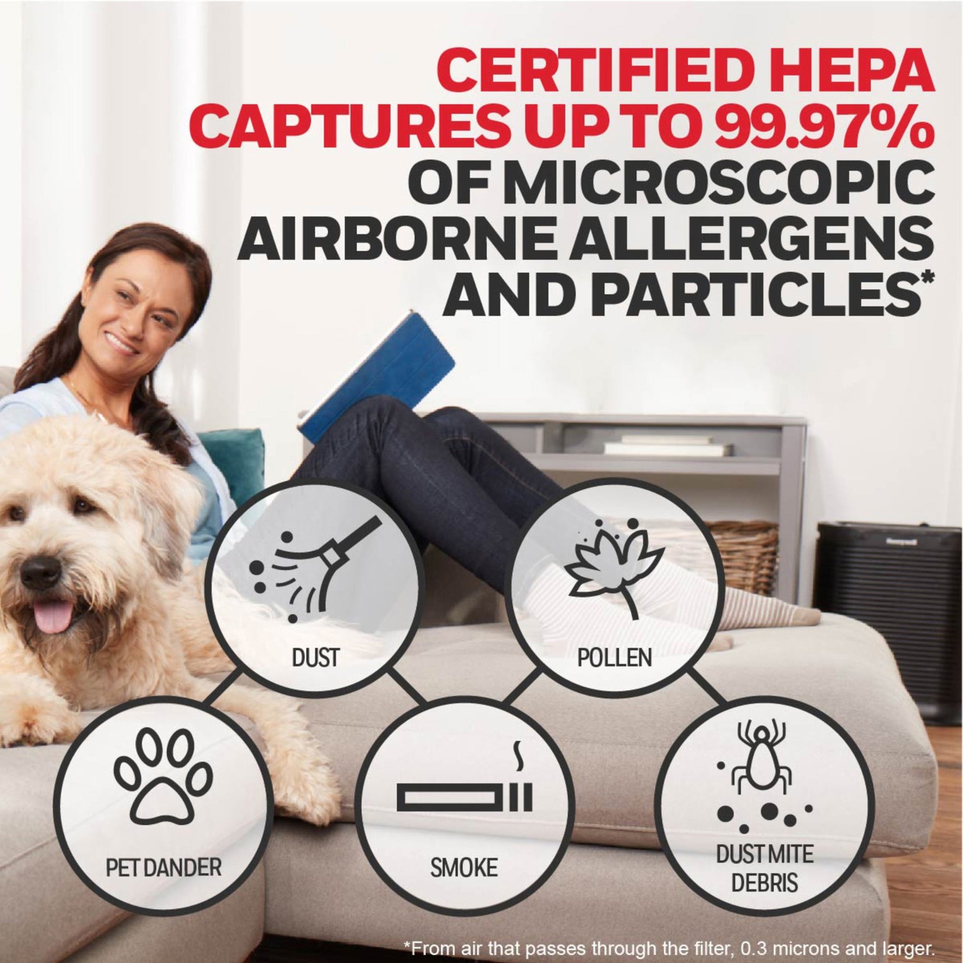 Honeywell HRFR1 HEPA Air Purifier R Filter, Removes Allergens