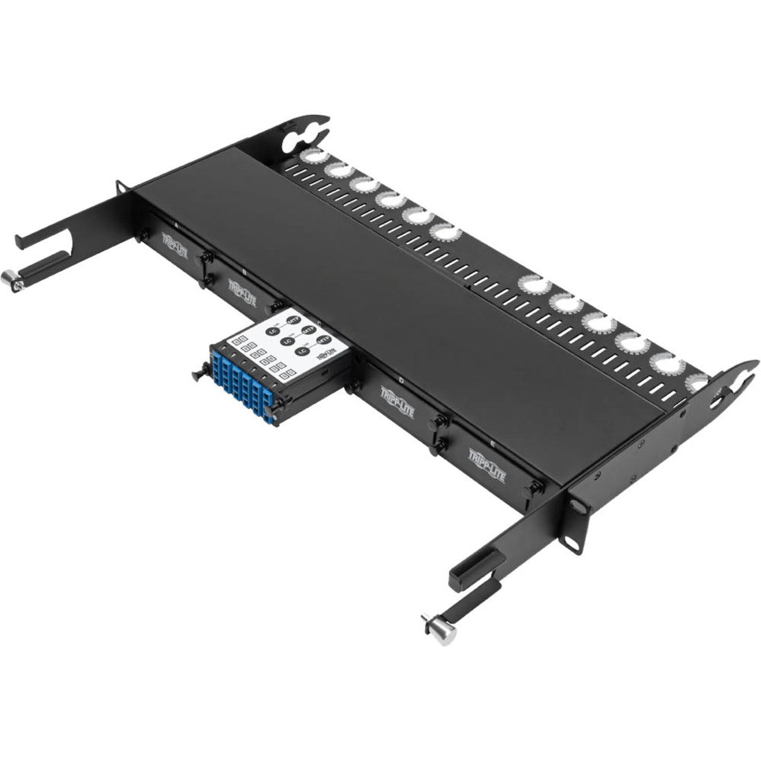 Tripp Lite N482-3M8L12S Network Patch Panel, 9/125 Singlemode Fiber Optic 40/100 Gb to 10 Gb Breakout Cassette