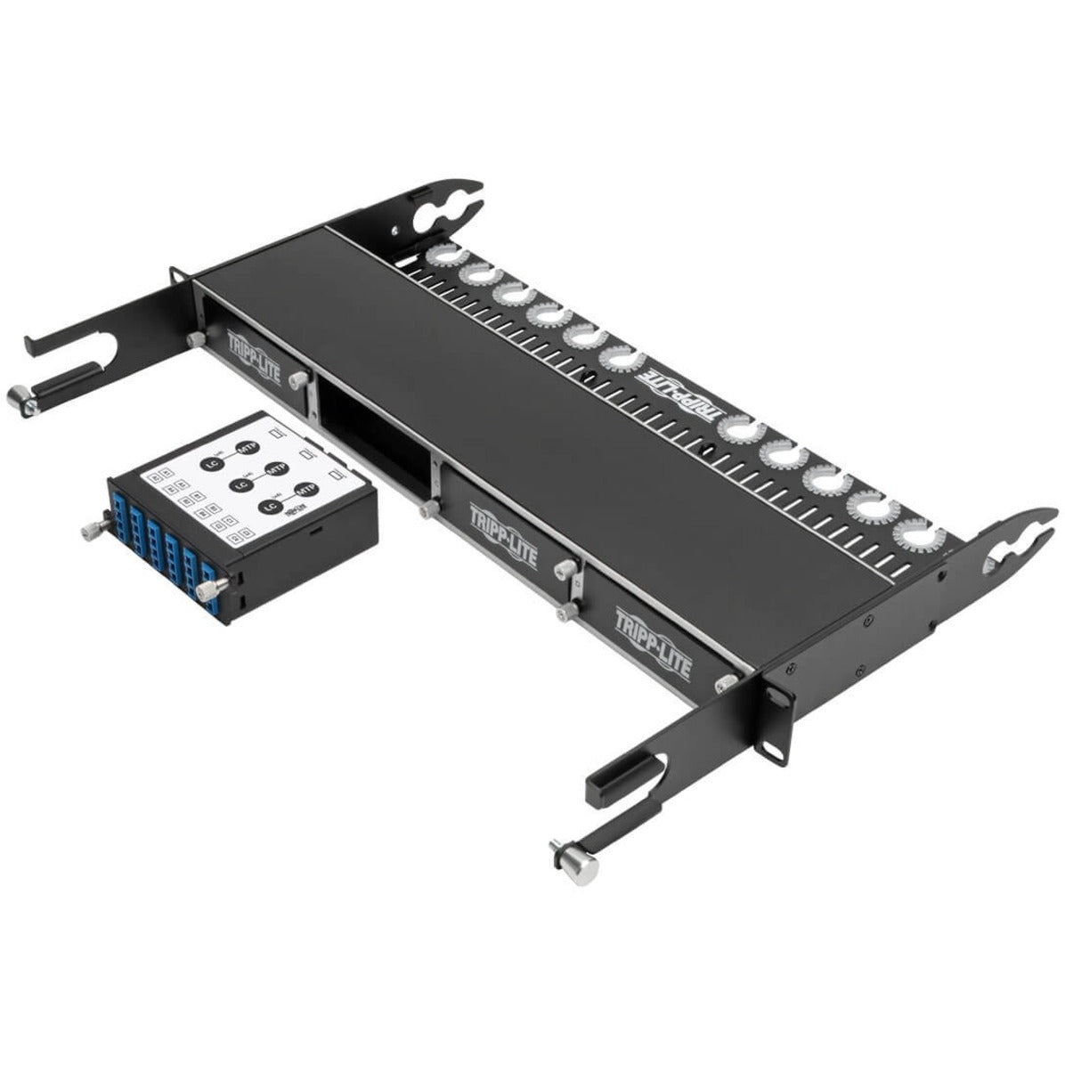 Tripp Lite N484-3M8L12S Network Patch Panel, 8.3/125 Singlemode Fiber Optic 40/100 Gb to 10 Gb Breakout Cassette