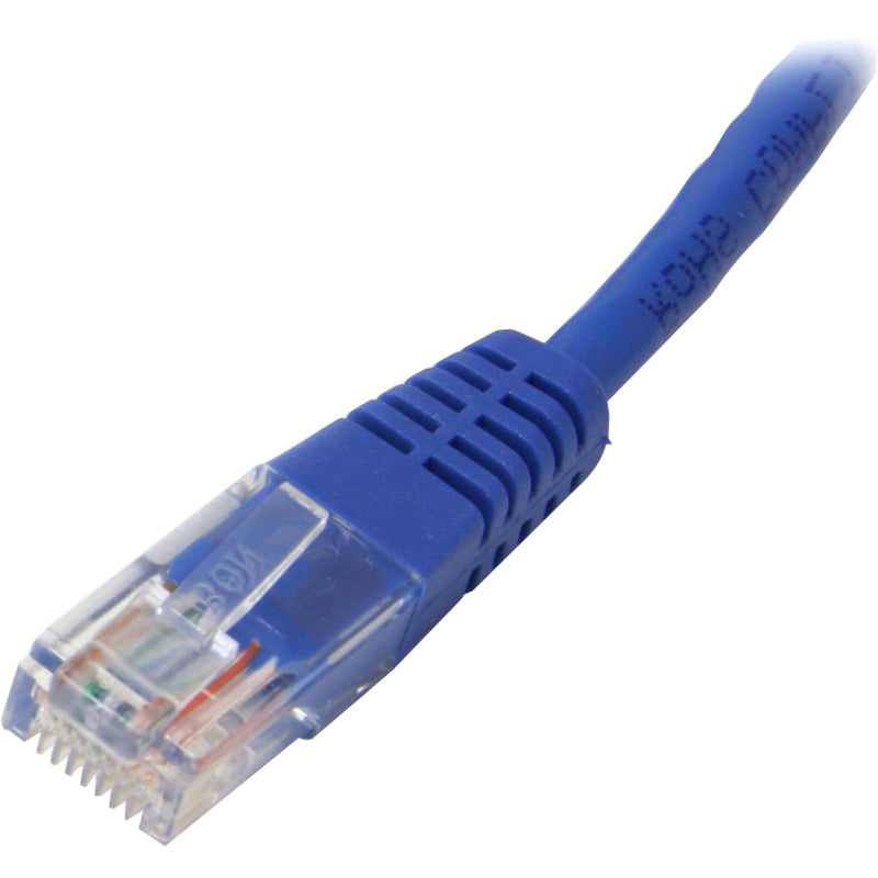 Detailed view of Cat5e connector showing blue strain relief boot and RJ-45 termination