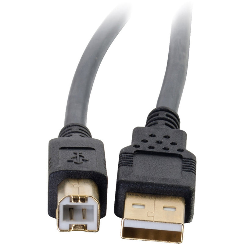 Macro shot of USB connectors showing gold-plated contacts and internal design