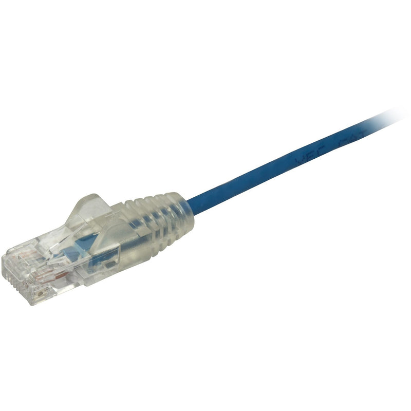 Detailed view of transparent snagless RJ45 connector on blue CAT6 ethernet cable