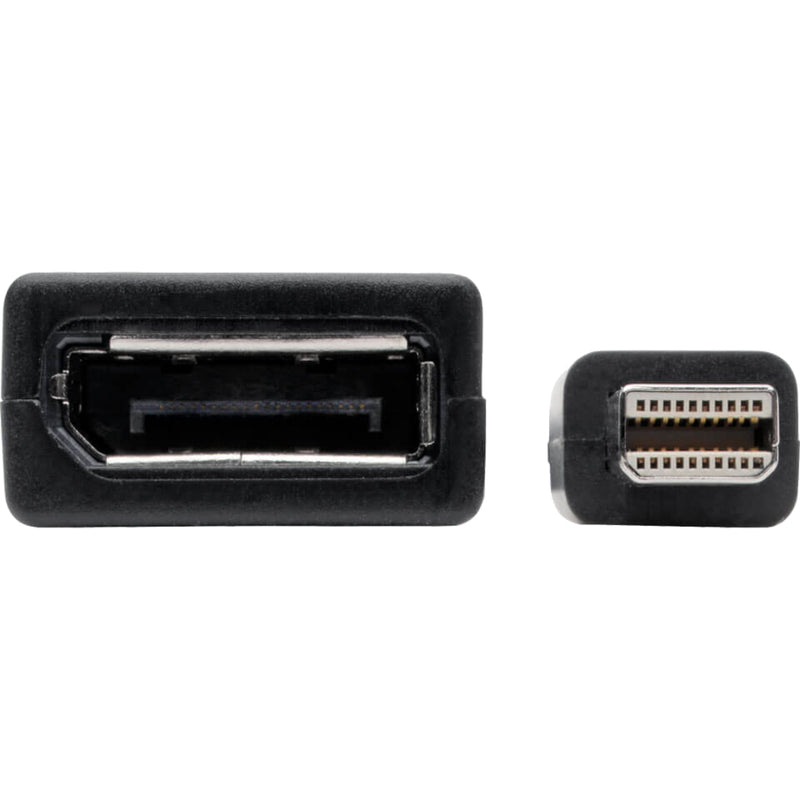 Detailed view of Keyspan adapter's DisplayPort and Mini DisplayPort connectors