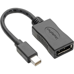 Keyspan P139-06N-DP4K6B Mini DisplayPort to DisplayPort Adapter 4K @ 60Hz Black 6 in.   Zwarte Keyspan P139-06N-DP4K6B Mini DisplayPort naar DisplayPort-adapter 4K @ 60Hz 6 in.