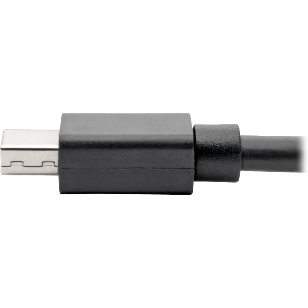 Keyspan P139-06N-DP4K6B Mini DisplayPort to DisplayPort Adapter, 4K @ 60Hz, Black, 6 in.