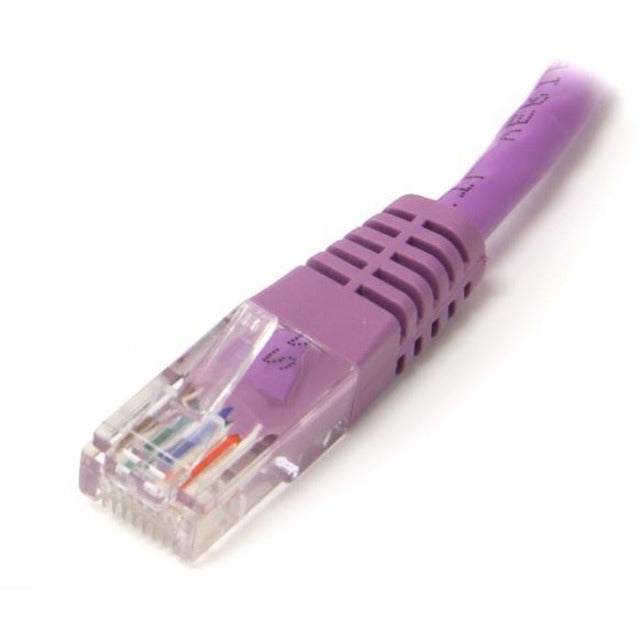 Close-up view of purple Cat5e cable RJ45 connector showing gold contacts and strain relief design