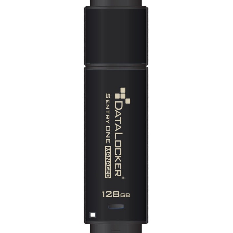 Front view of DataLocker Sentry ONE 128GB encrypted USB flash drive showing brand logo and capacity marking