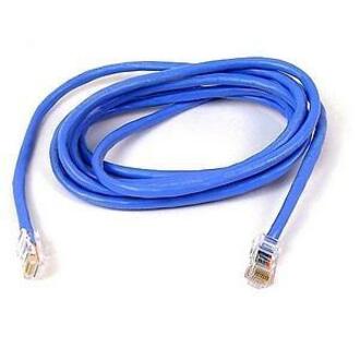 25-foot blue Cat5e ethernet patch cable with RJ45 connectors showing coiled configuration