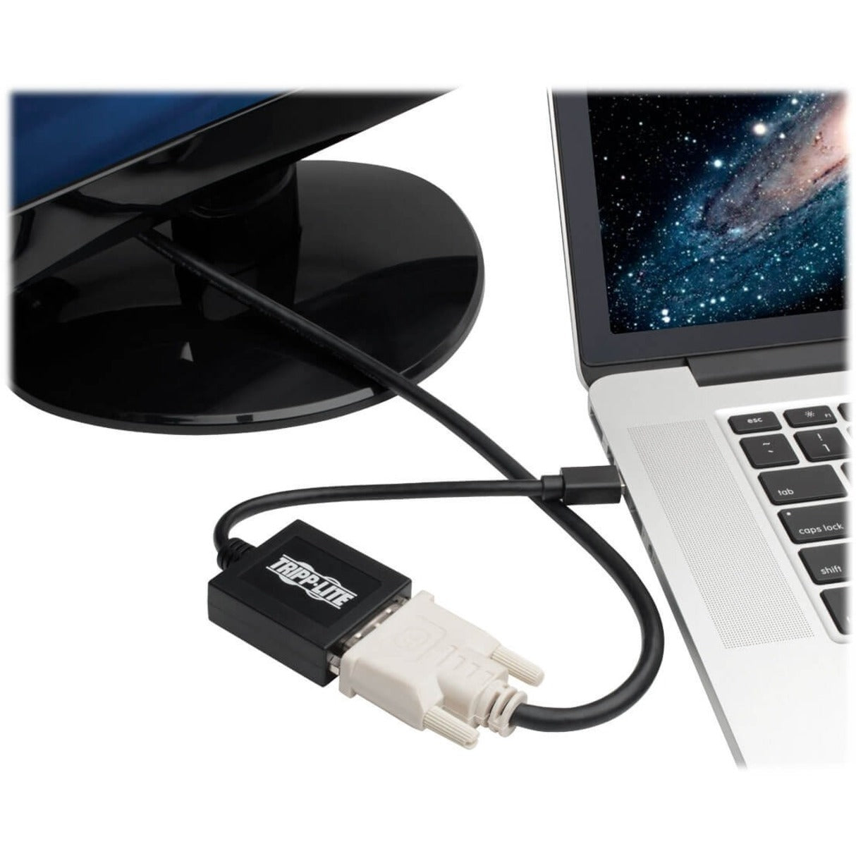 Tripp Lite P137-06N-DVIB Keyspan DVI/Mini DisplayPort Cable 1 ft Passive 1920 x 1200 TAA Compliant RoHS Certified 트립 라이트 P137-06N-DVIB 키스팬 DVI/미니 디스플레이포트 케이블 1 ft 패시브 1920 x 1200 TAA 준수 RoHS 인증