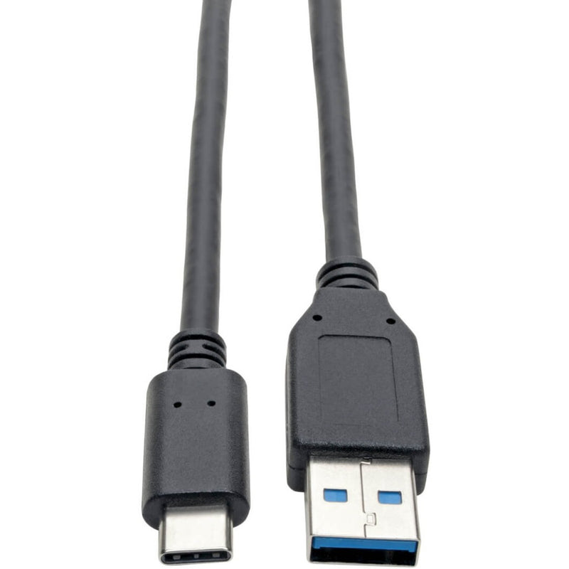 Close-up view of Tripp Lite USB-C to USB-A cable showing both connector ends with blue USB 3.1 indicator