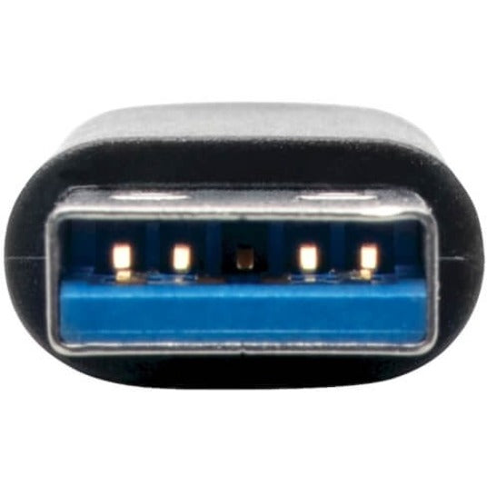 Macro shot of USB Type-A connector showing gold-plated pins and blue USB 3.0 port