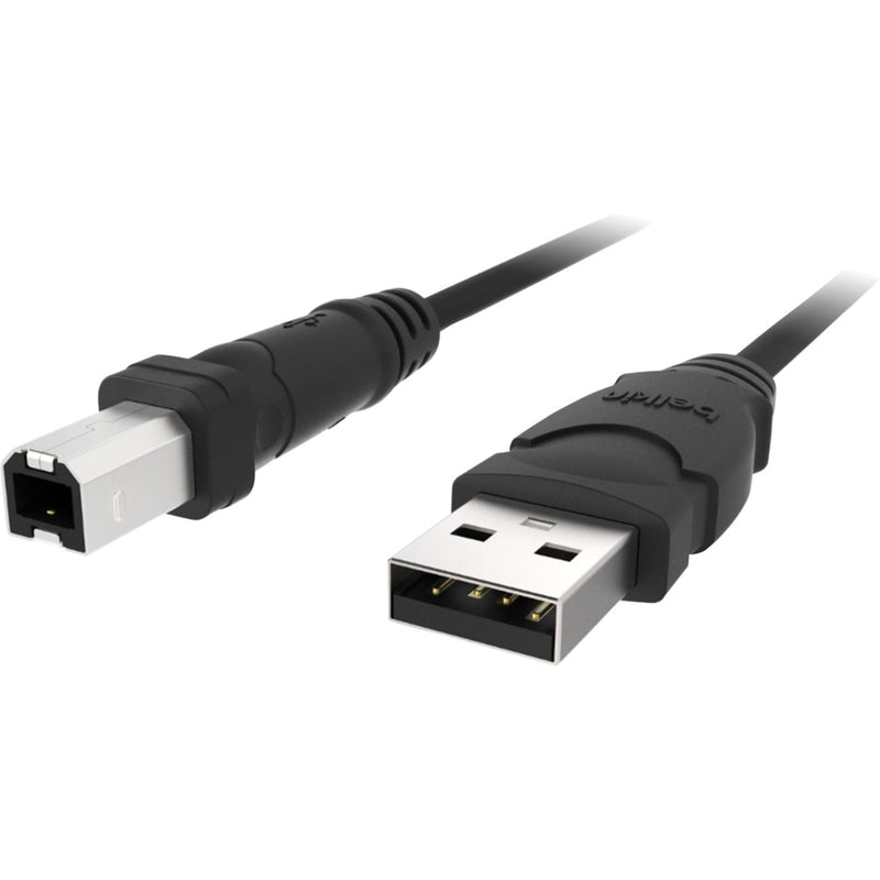 Belkin USB Type-A to Type-B cable showing both connector ends and black cable design