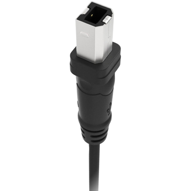 Detailed view of Belkin USB Type-B connector highlighting construction quality and strain relief